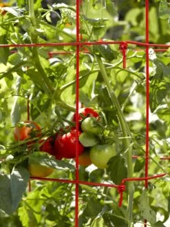 Tomato Cages, Set Of 4 -Green Works Shop 34182 592