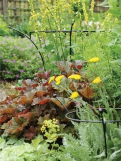 Essex Plant Supports -Green Works Shop 37423 280 tif