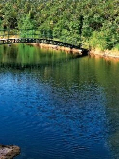 Aquasphere Pond Cleaners -Green Works Shop 37425 001ed 1