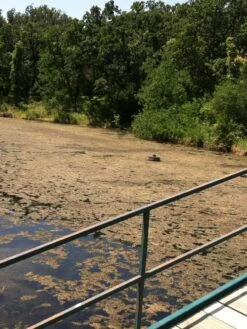 Blast, 2,500 Gallon, 5 Packets 9 Blast, 2,500 Gallon, 5 Packets -Green Works Shop 37425 001v 1 1