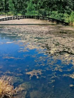 Aquasphere Pond Cleaners -Green Works Shop 37425 002ed 1