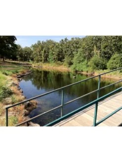 Blast, 125,000 Gallon, 12 Packets 7 Blast, 125,000 Gallon, 12 Packets -Green Works Shop 37425 002v 1