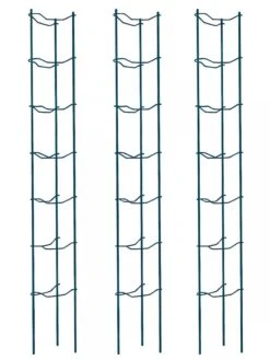 Tomato Ladders, Set Of 3 -Green Works Shop 38184 002E psd