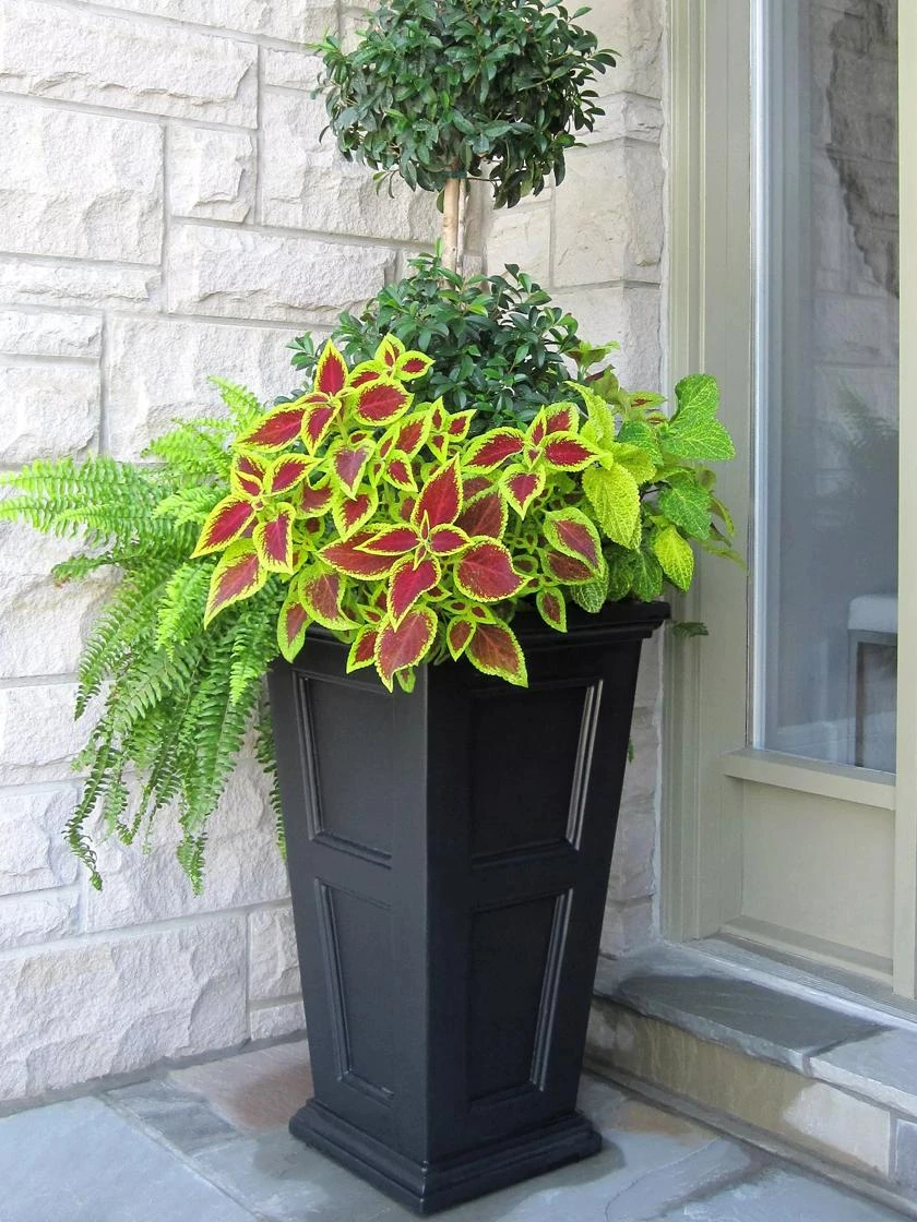 Fairfield Self-Watering Tall Patio Planters, 28” 7 Fairfield Self-Watering Tall Patio Planters, 28” - Image 5