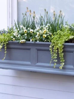 Fairfield Self-Watering Window Box, 3’ -Green Works Shop 39 344 9360 tif