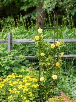 Jardin Round Obelisk, 7' -Green Works Shop 39 530 1668 tif