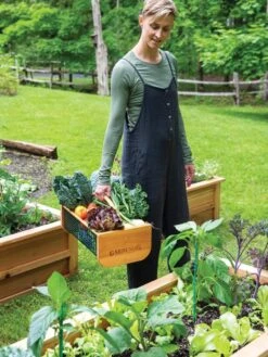 Garden Hods -Green Works Shop 39 761 0146 tif