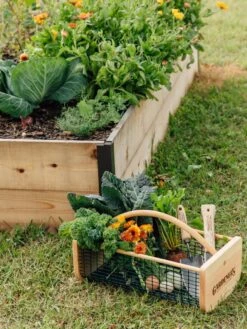 Garden Hods -Green Works Shop 39 761 572 tif