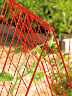 Deluxe Cucumber Trellis -Green Works Shop 39806 542 tif