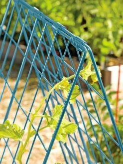 Deluxe Cucumber Trellis -Green Works Shop 39806 BLUE 100 tif
