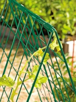 Deluxe Cucumber Trellis -Green Works Shop 39806 GR edit tif