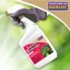 Bonide® Japanese Beetle Killer -Green Works Shop 3 4 crop 8586927 01V 3 4