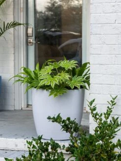 Viva Round Self-Watering Rolling Planter, 20" Diameter, Set Of 2 -Green Works Shop 3 4 crop 8612933 0025 tif