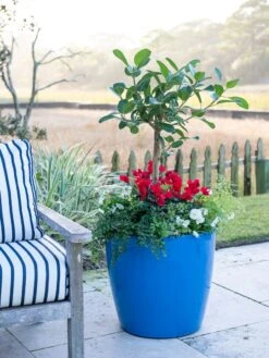 Viva Round Self-Watering Rolling Planter, 20" Diameter, Set Of 2 -Green Works Shop 3 4 crop 8612933 5312 tif