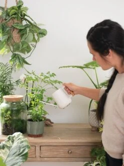 Pinpoint Indoor Watering Can -Green Works Shop 3 4 crop 8612963 3774