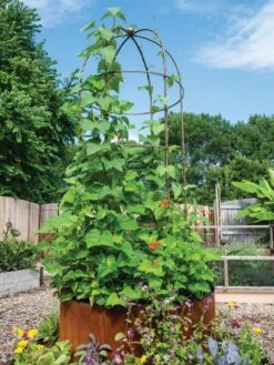 Green Works Shop -Green Works Shop 3 4 crop 8612997 0055