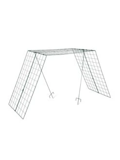 Over The Top Cucumber And Squash Trellis -Green Works Shop 3 4 crop 8613058 4890