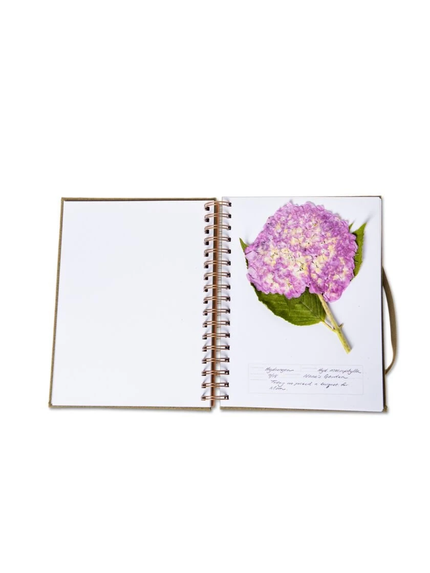 Herbarium Journal 4 Herbarium Journal - Image 2