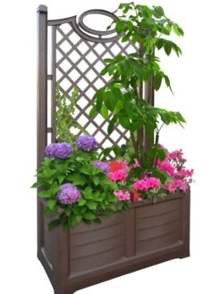Separate Flower Box With Trellis -Green Works Shop 3 4 crop 8613626 04V