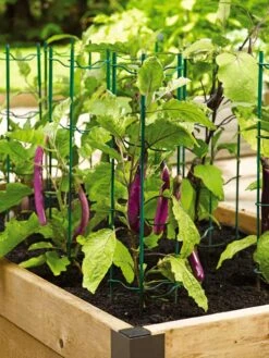 Pepper And Eggplant Stakes, Set Of 3 7 Pepper And Eggplant Stakes, Set Of 3 -Green Works Shop 40308 2116 tif