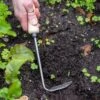 Gardener's Lifetime Cape Cod Weeder, Right-Handed