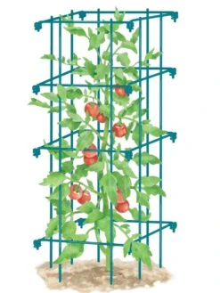 Tomato Cage, Single -Green Works Shop 8587039 TomatoCage BLUE tif