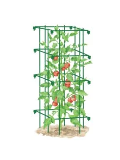 Tomato Cage, Single -Green Works Shop 8587039 TomatoCage GRN tif