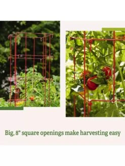 Tomato Cages, Set Of 4 -Green Works Shop 8587040 2