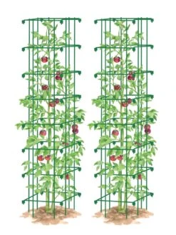 Tomato Towers, Set Of 2 -Green Works Shop 8587041 0006 GRN tif