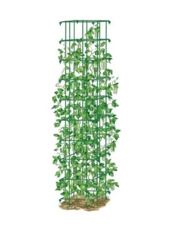 Bean Tower -Green Works Shop 8587060 0008 GRN tif