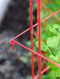 Tall Expandable Pea Trellis -Green Works Shop 8587061 010 tif