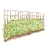 Expandable Pea Trellis -Green Works Shop 8587061 PeaFence Red 001E tif