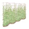 Tall Expandable Pea Trellis -Green Works Shop 8587062 0001 RED tall expandable pea trelis tif