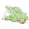 Large Cucumber Trellis -Green Works Shop 8587082 CukeTrellis L Blk 001E tif