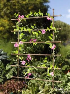 Jardin Ladder Trellis -Green Works Shop 8587107 083 tif