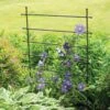 Jardin Ladder Trellis -Green Works Shop 8587107 1651 tif