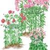 Grow Through Supports, Set Of 3 -Green Works Shop 8587111RS 001E 1