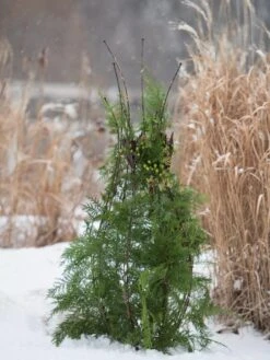 Jardin Pot Trellis -Green Works Shop 8587120 009 tif