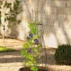 Jardin Pot Trellis -Green Works Shop 8587120 224 tif