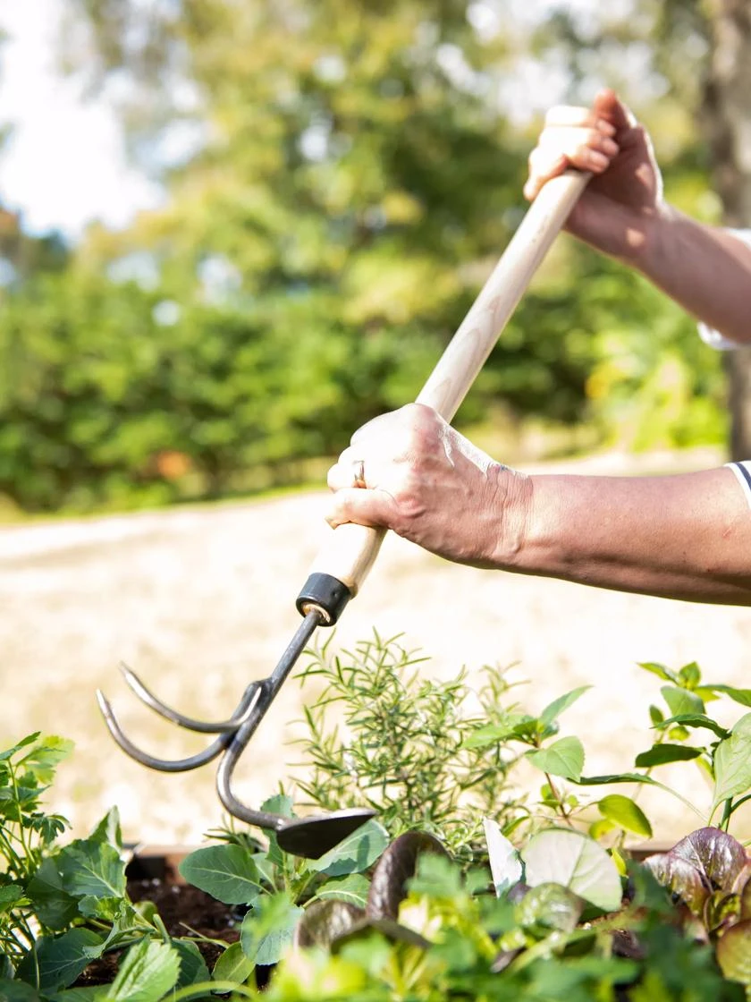 Gardener's Lifetime Raised Bed Cultivator 6 Gardener's Lifetime Raised Bed Cultivator - Image 4