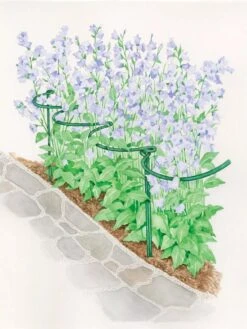 Tidy Path Supports 7 Tidy Path Supports -Green Works Shop 8588403 003 1