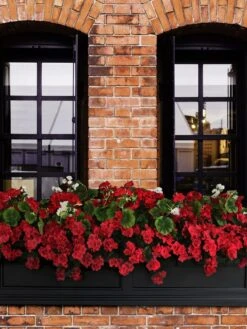 Fairfield Self-Watering Window Box, 5’ -Green Works Shop 8588938 102V tif