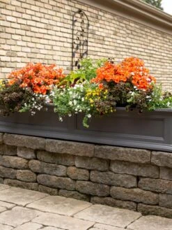 Fairfield Self-Watering Window Box, 5’ -Green Works Shop 8588938 105V tif