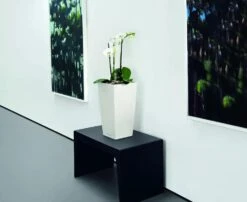 Lechuza® Cubico Color Tall Self-Watering Planters -Green Works Shop 8589485 03V tif