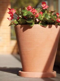 Universal Round Planter Saucers -Green Works Shop 8589526 001V tif