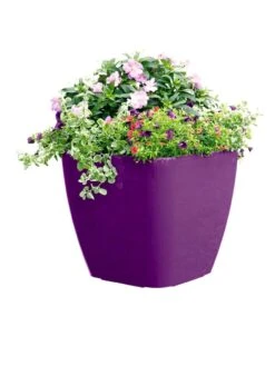 Viva Square Self-Watering Rolling Planter, 17.5" Diameter -Green Works Shop 8589778PR 6126 tif