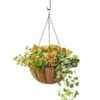 AquaSav™ Oxford Hanging Basket, 14" -Green Works Shop 8589789 028 tif
