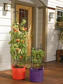 Gardener's Best® Tomato Grow Bag Set -Green Works Shop 8590013 170 tif