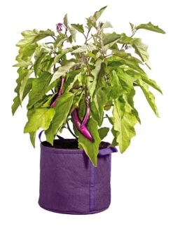 Gardener's Best® Universal Grow Bag -Green Works Shop 8590024PR 214 tif