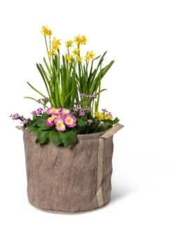 Gardener's Best® Universal Grow Bag -Green Works Shop 8590024 7307 tif